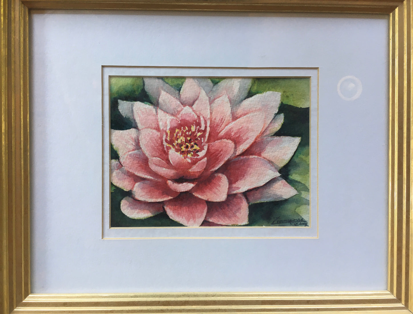 Water Lily 2003 (original)