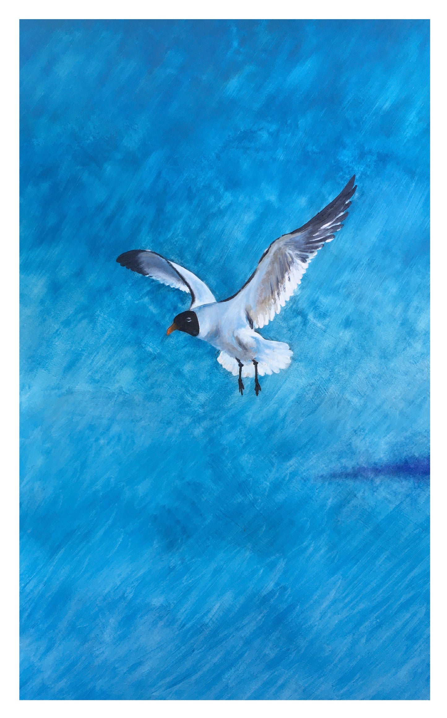 Crystal Beach Seagull Series #1  (print)