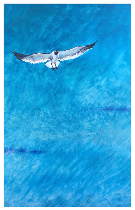 Crystal Beach Seagull Series #3 (print)