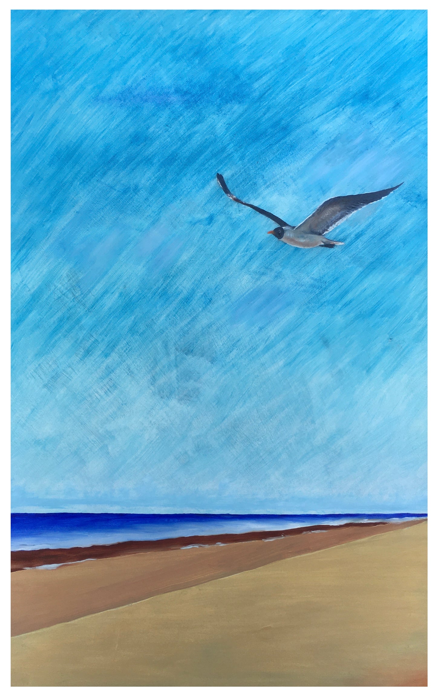 Crystal Beach Seagull Series #4 (print)