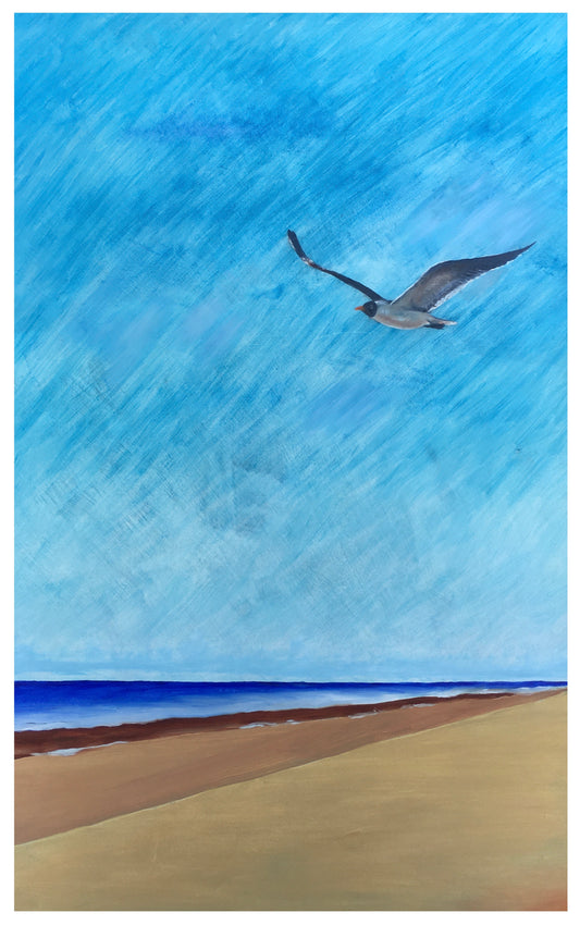 Crystal Beach Seagull Series #4 (print)