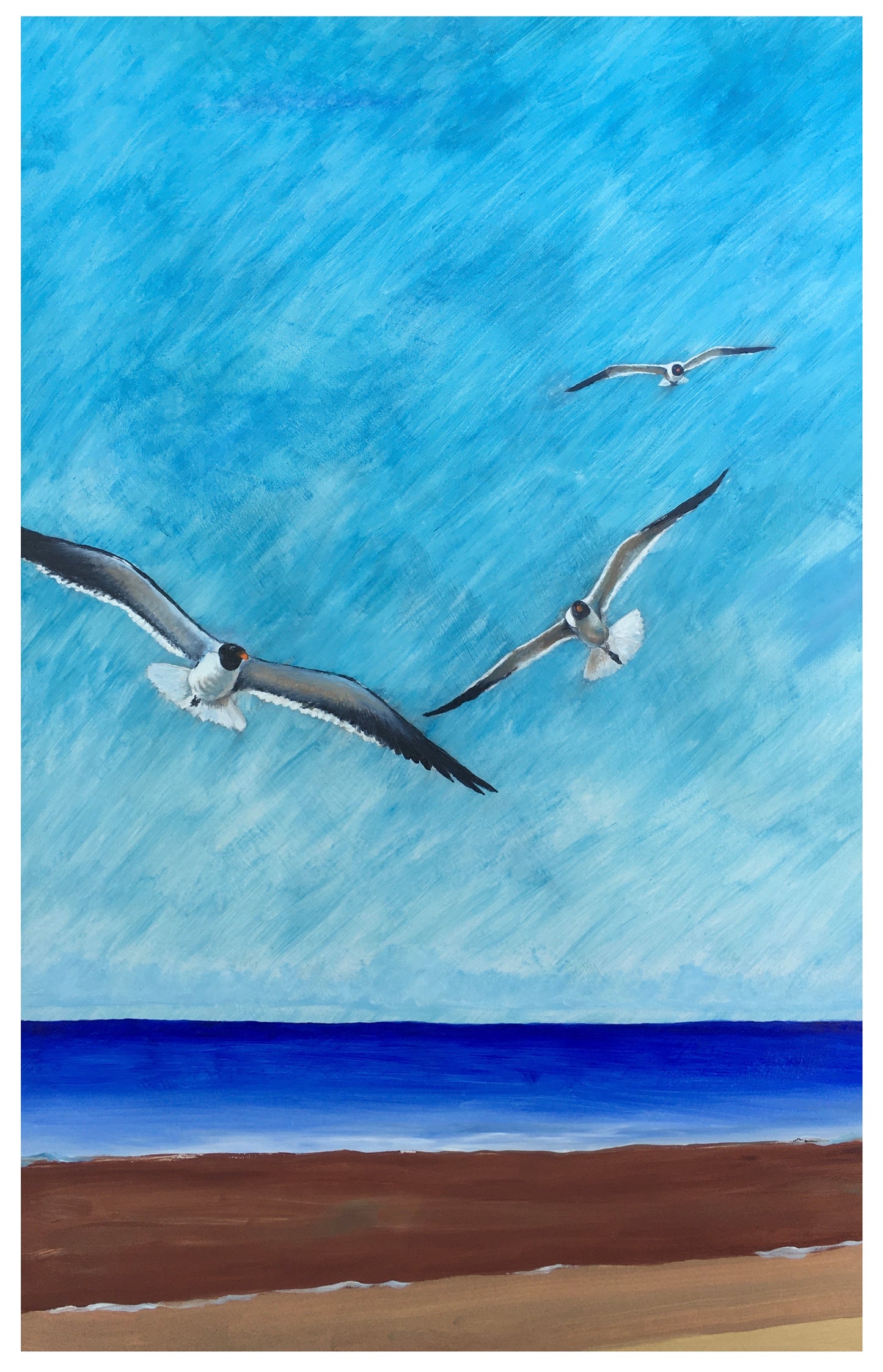 Crystal Beach Seagull Series #5 (print)