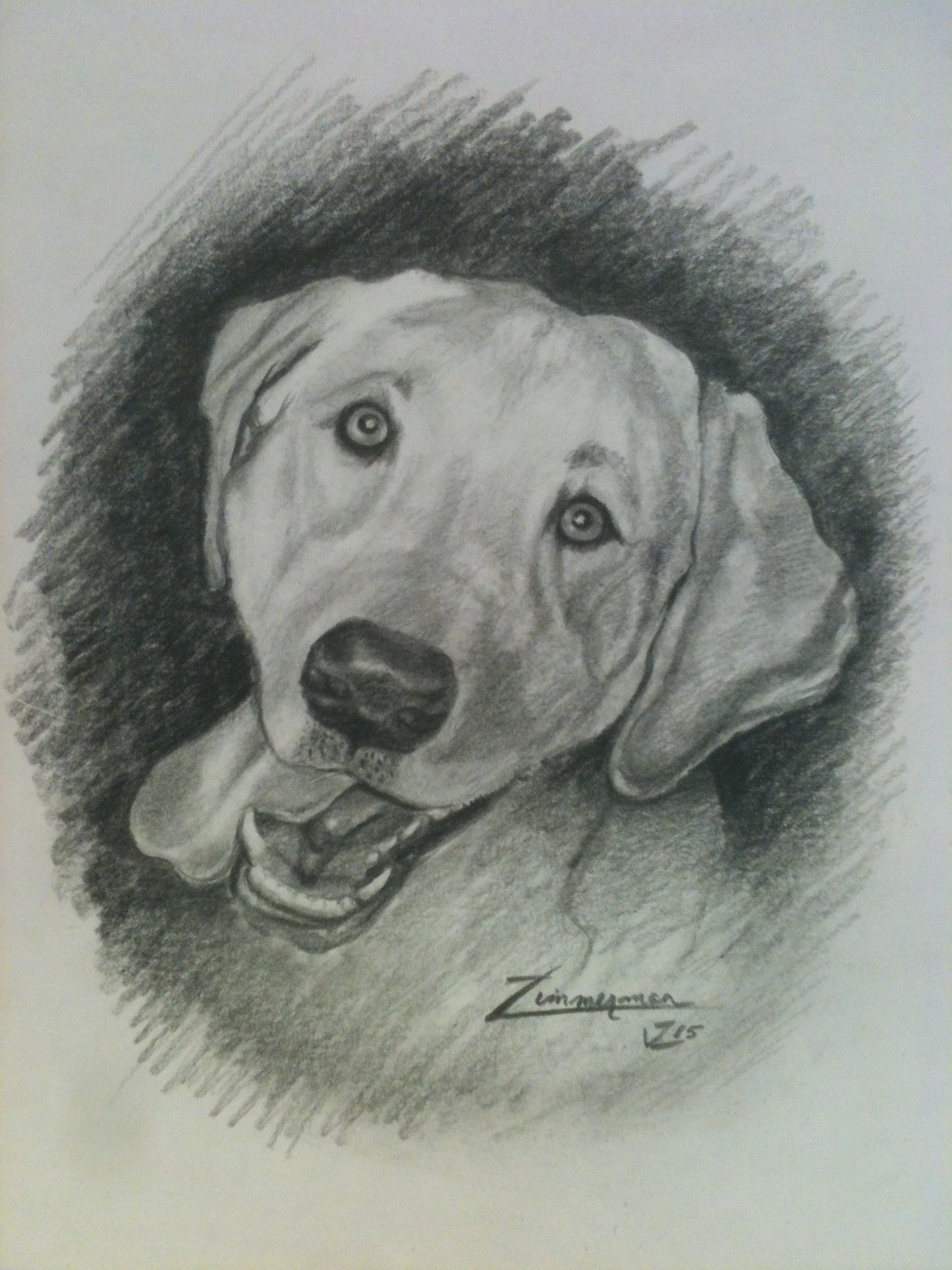 Portraits of Pets