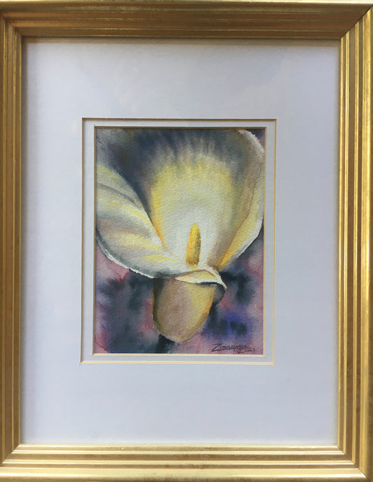 Calla Lily 2003 (original)